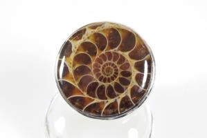Ammonite Ring UK O | Image 2
