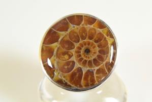 Ammonite Ring 11.1grams | Image 2