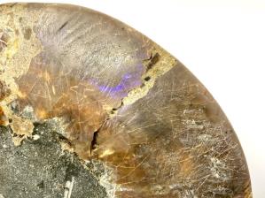 Ammonite Pair Large 21.5cm | Image 6