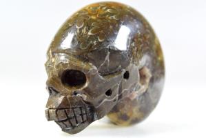 Ammonite Skull Carving 7.6cm | Image 5