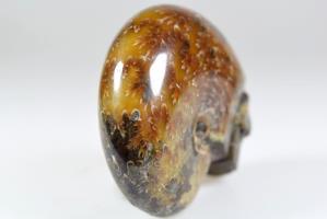 Ammonite Skull Carving 7.6cm | Image 7