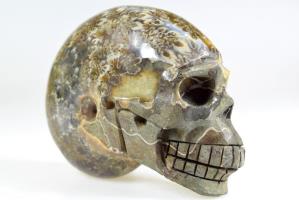 Ammonite Skull Carving 10.3cm | Image 6