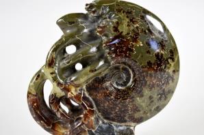 Ammonite Carving 13.2cm | Image 2