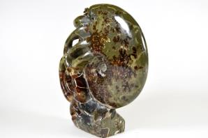 Ammonite Carving 13.2cm | Image 7
