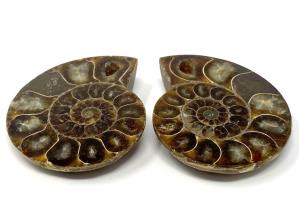 Ammonite Pair 6.3cm | Image 2