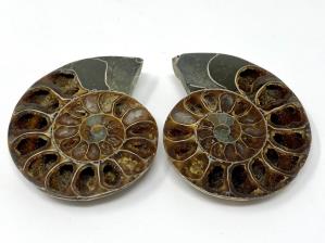 Ammonite Pair 7.2cm | Image 2