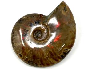 Ammonite Red Iridescent Large 13.3cm | Image 11
