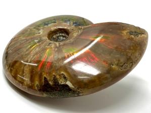Ammonite Red Iridescent Large 13.3cm | Image 14