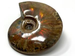 Ammonite Red Iridescent Large 13.3cm | Image 16
