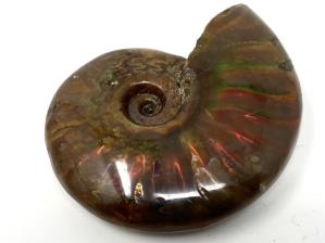 Ammonite Red Iridescent 5cm | Image 3