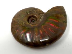 Ammonite Red Iridescent 5cm | Image 2