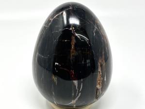 Fossil Wood Egg Large 15cm | Image 4