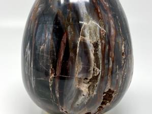 Fossil Wood Egg Large 15cm | Image 2