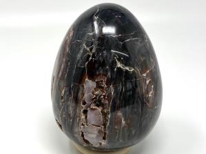 Fossil Wood Egg Large 15cm | Image 3