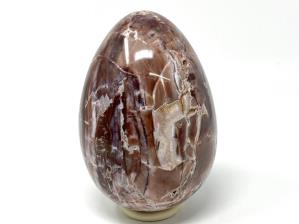 Druzy Fossil Wood Egg Large 17.7cm | Image 4