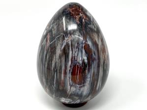 Fossil Wood Egg Large 17.8cm | Image 2