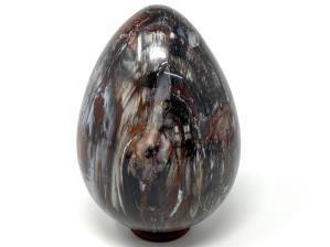 Fossil Wood Egg Large 17.8cm | Image 3