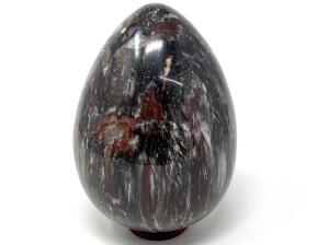 Fossil Wood Egg Large 17.8cm | Image 4