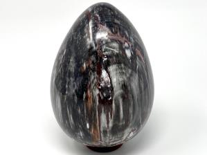 Fossil Wood Egg Large 17.8cm | Image 5