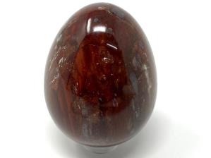 Fossil Wood Egg 5.7cm | Image 2
