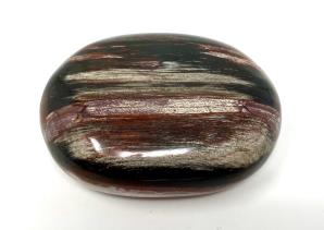 Fossil Wood Pebble 6.7cm | Image 2