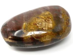 Fossil Wood Pebble 7.1cm | Image 2