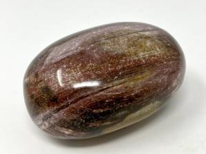 Fossil Wood Pebble Large 7.6cm | Image 2