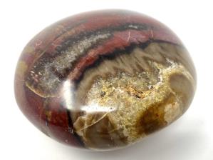Fossil Wood Pebble 6cm | Image 2