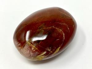 Fossil Wood Pebble Large 7.2cm | Image 2