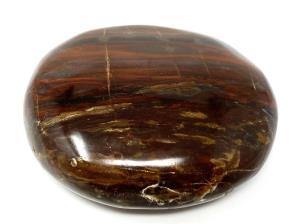 Fossil Wood Pebble 6.2cm | Image 2