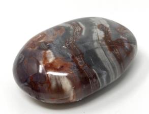 Fossil Wood Pebble 6.6cm | Image 2