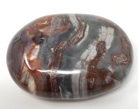 Fossil Wood Pebble 6.6cm | Image 3