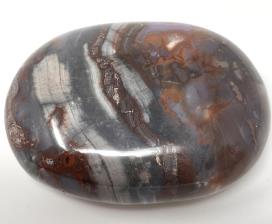Fossil Wood Pebble 6.6cm | Image 4