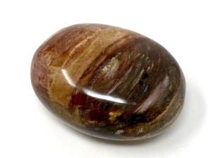 Fossil Wood Pebble 6.9cm | Image 2