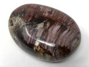 Druzy Fossil Wood Pebble 6.5cm | Image 3