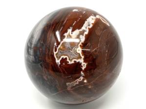 Fossil Wood Sphere 11.1cm | Image 3
