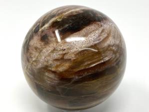 Fossil Wood Sphere 6.6cm | Image 2