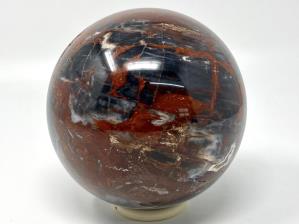 Fossil Wood Sphere Large 14.2cm | Image 5