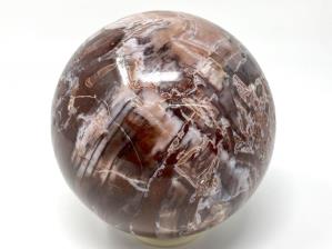 Fossil Wood Sphere Large 12.2cm | Image 5