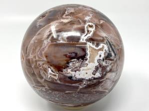 Fossil Wood Sphere Large 12.2cm | Image 6