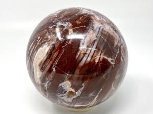 Fossil Wood Sphere Large 12.2cm | Image 2