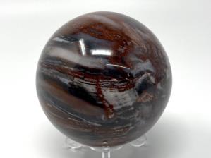 Fossil Wood Sphere 7.6cm | Image 4