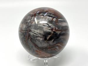 Fossil Wood Sphere 7.6cm | Image 2