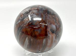 Fossil Wood Sphere 7.6cm | Image 3