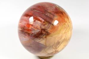 Fossil Wood Sphere 14.5cm | Image 3