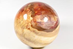 Fossil Wood Sphere 14.5cm | Image 4