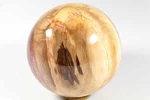 Fossil Wood Sphere 14.5cm | Image 5