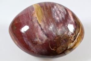 Fossil Wood Pebble Large 8.4cm | Image 2