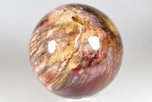 Fossil Wood Sphere 9.9cm | Image 4