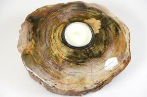 Fossilised Wood Tea Light 17cm | Image 2